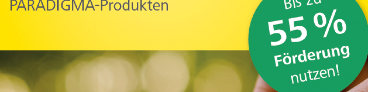 Beitragsbild Paradigma